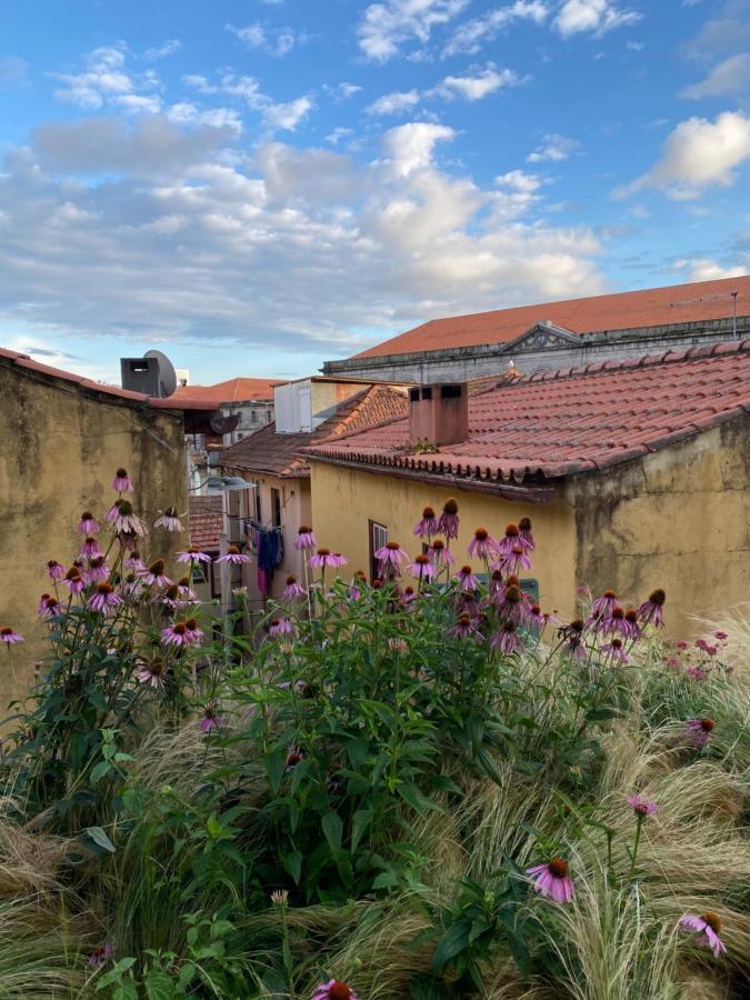 My Little Porto - Charming House In Miragaia, Porto Exterior foto